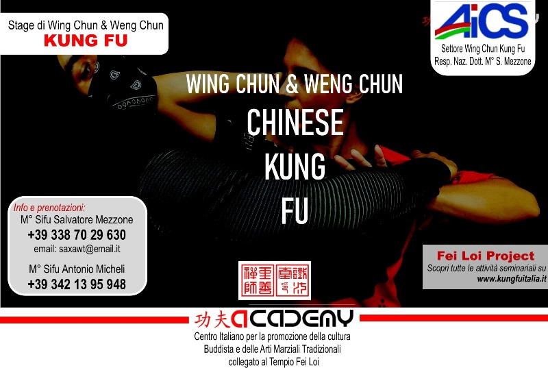 16  Fei Loi Project Kung Fu seminars Arti marziali cinesi Cina Italia wing chun Ip Man, weng chun Tang Yik, Chi Kung